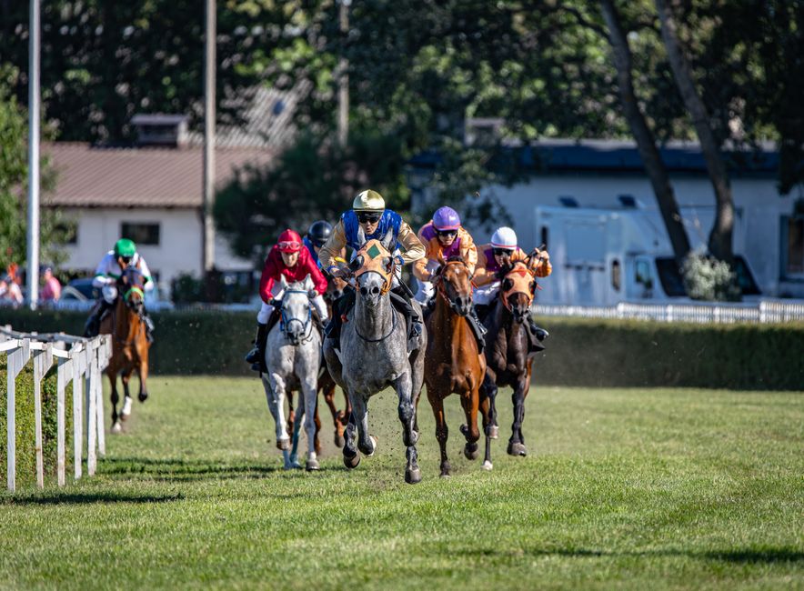 Quinté, Le Prix du Pays de Bray ce Samedi 31/10/2026 a Deauville — chevaux de course en plein galop